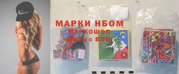 прущие грибы Медногорск