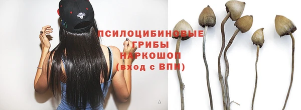 спиды Белокуриха