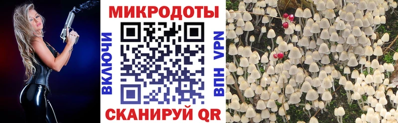 Галлюциногенные грибы ЛСД  ссылка на мегу вход  Ногинск 